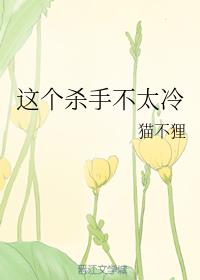 这个杀手不太冷