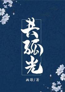 共孤光