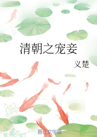 清朝之宠妾