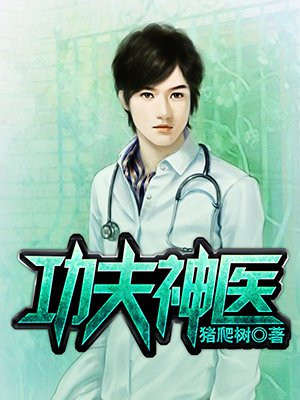 功夫神医