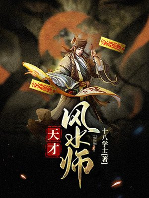 天才风水师