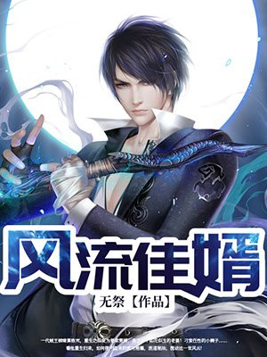 风流佳婿
