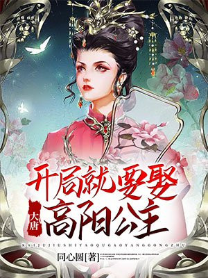 大唐秦怀小说