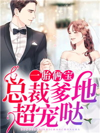 一胎俩宝：总裁爹地超宠哒