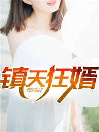 沈君临叶轻染