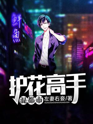 护花高手混都市