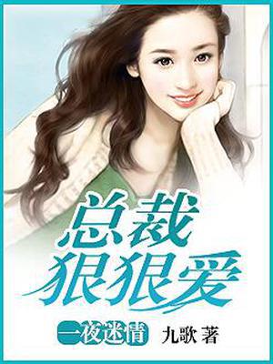 一夜迷情：总裁狠狠爱