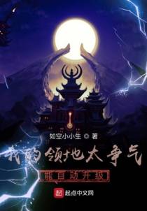 我的领地太争气，能自动升级