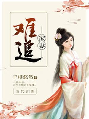 家妻难追