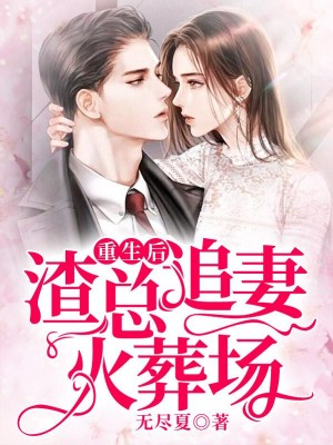 老公追妻火葬场