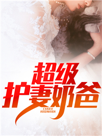 超级护妻奶爸周毅唐婉