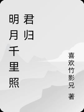 明月千里照君归