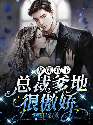一胎二宝,封爷半夜宠妻请温柔