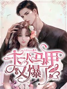江爷,夫人马甲又爆了