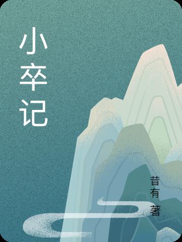 小卒记