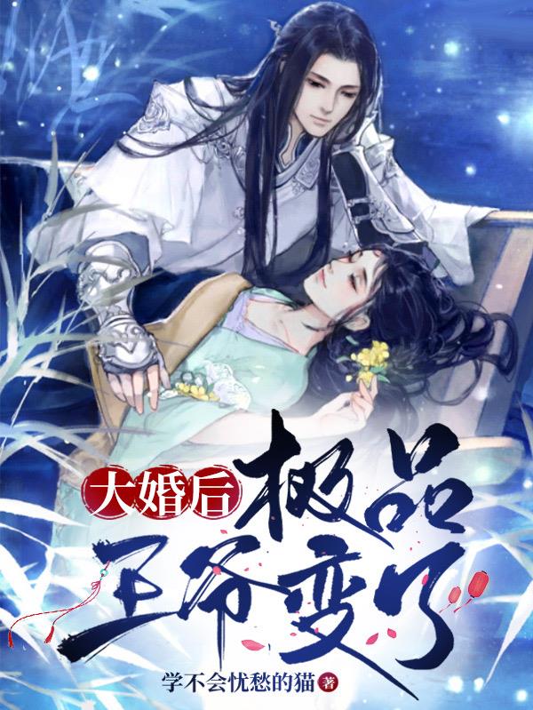 大婚后,极品王爷变了