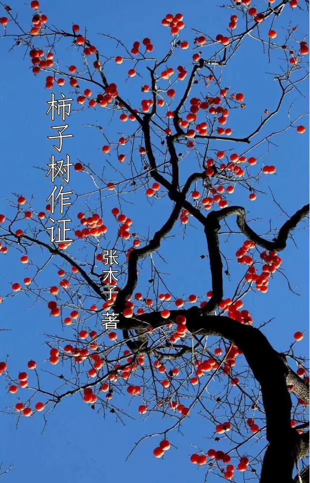 柿子树作证