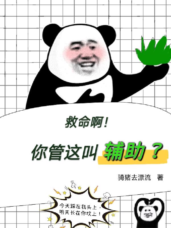 救命啊,你管这叫辅助？