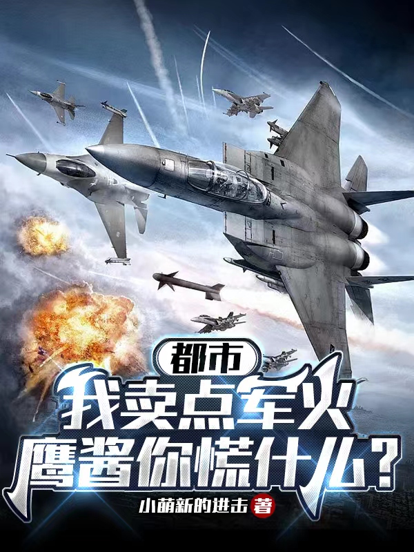 都市：我卖点军火,鹰酱你慌什么