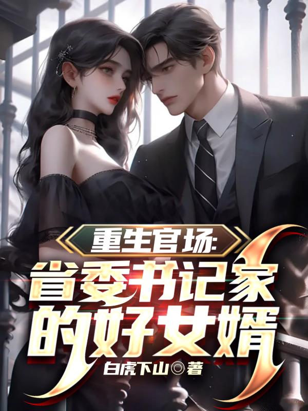 重生官场：省委书记家的好女婿