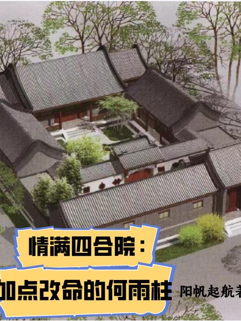 情满四合院：加点改命的何雨柱