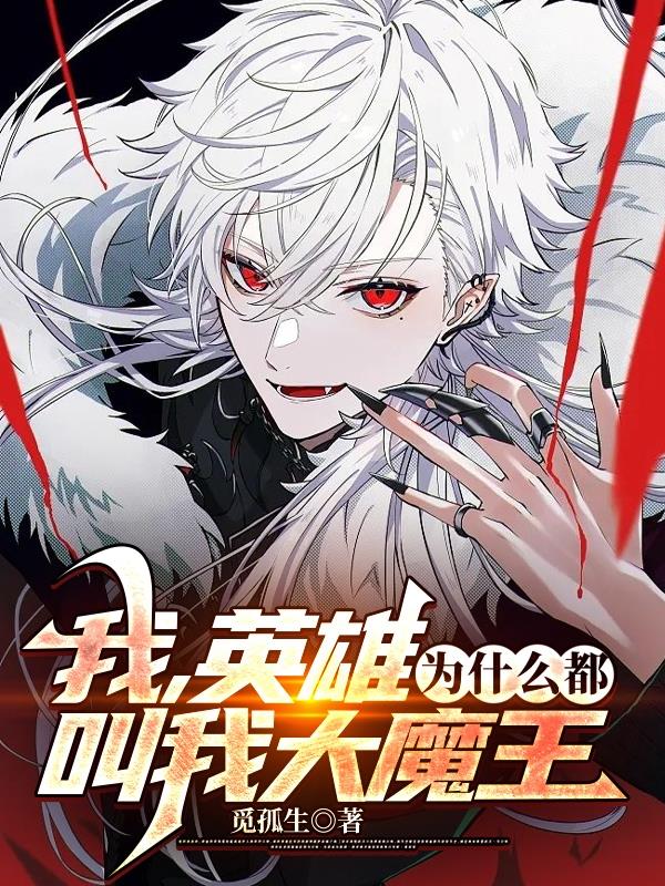 我,英雄,为什么都叫我大魔王？