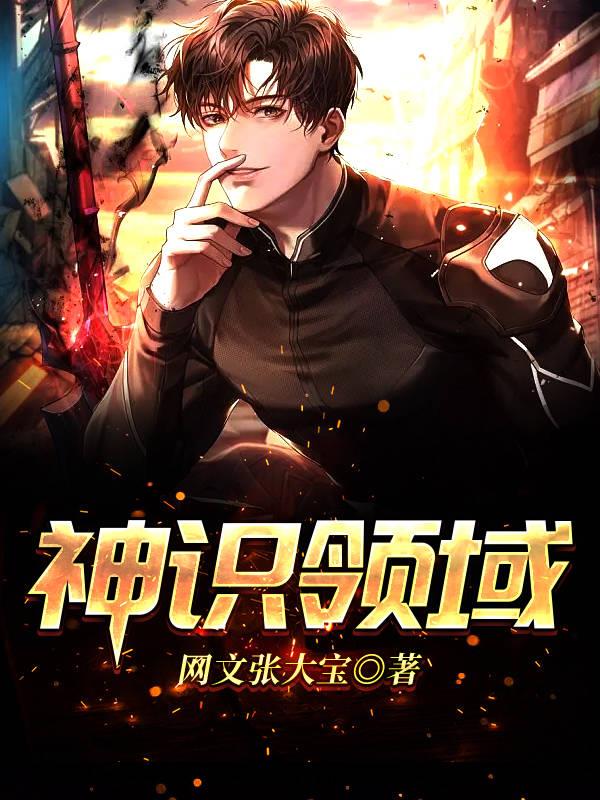 神识领域