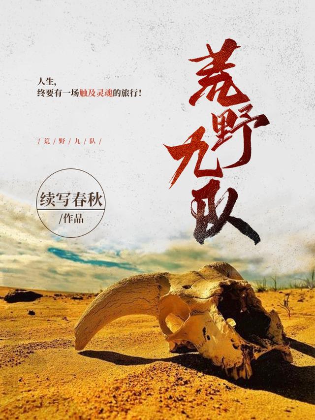 荒野九队