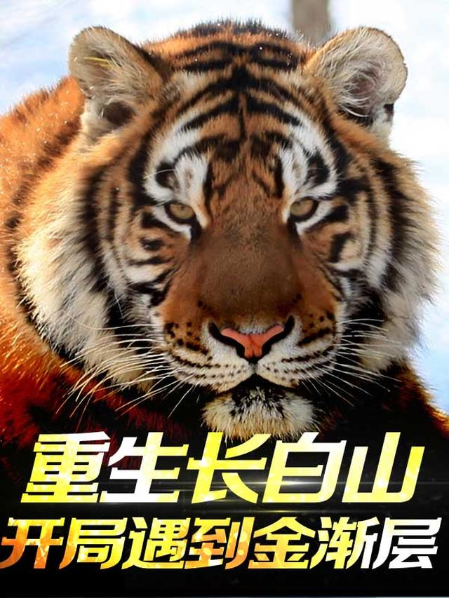 重生长白山开局遇到金渐层