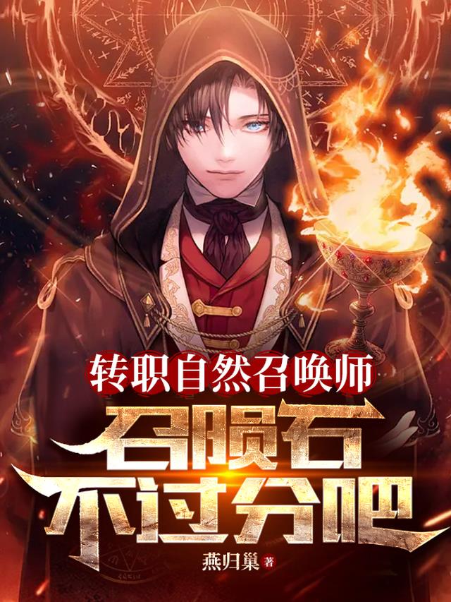 转职自然召唤师,召陨石不过分吧
