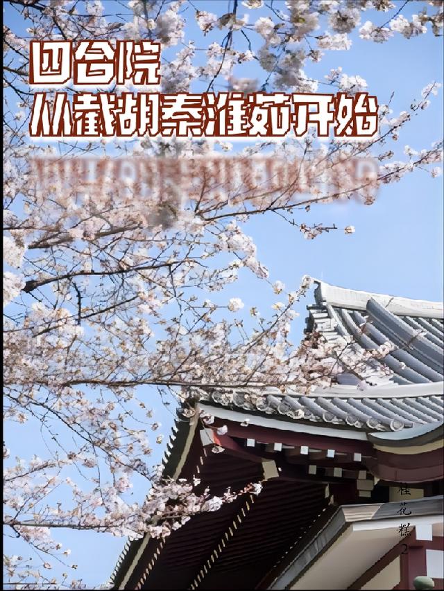 四合院,从截胡秦淮茹开始
