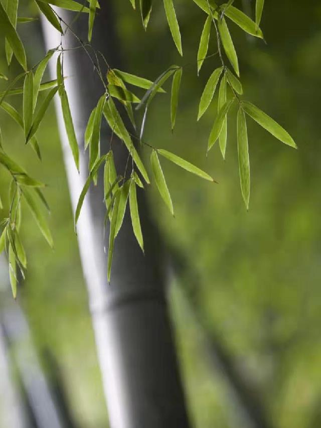 世界游戏：从长虹剑开始