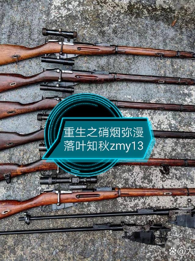 重生后硝烟弥漫