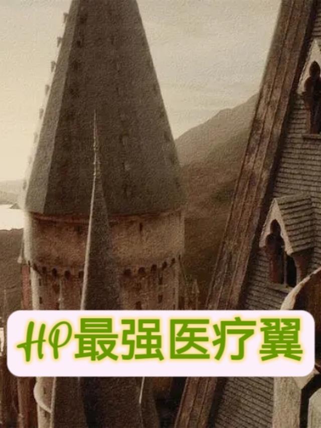 HP最强医疗翼