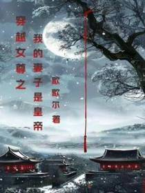 穿越女尊之神医公子