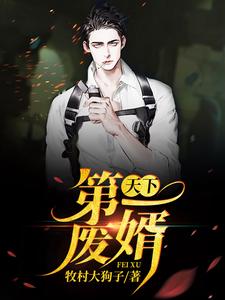 天下第一废婿