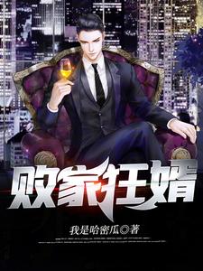 败家狂婿