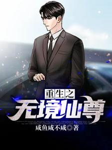 重生之无境仙尊