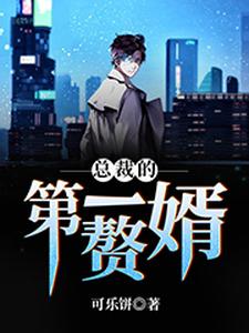 总裁的第一赘婿