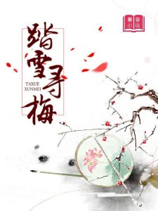 踏雪寻梅