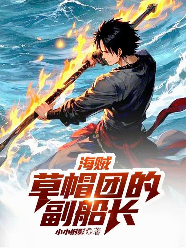 海贼：草帽团的副船长