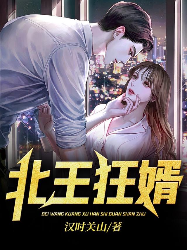北王狂婿