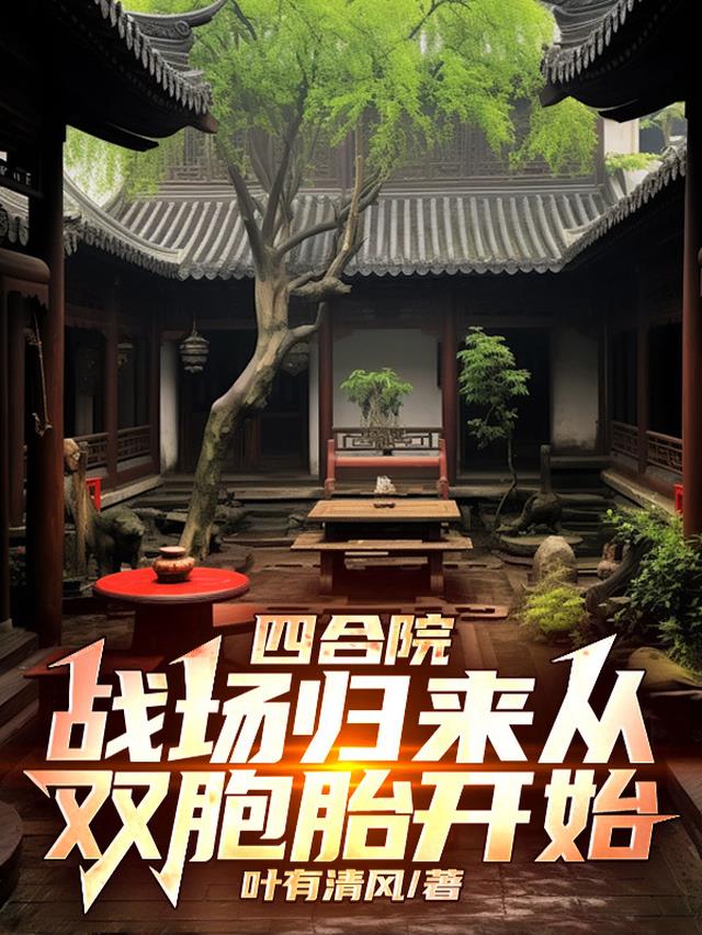 四合院：战场归来从双胞胎开始