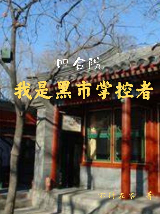 四合院，我是黑市掌控者