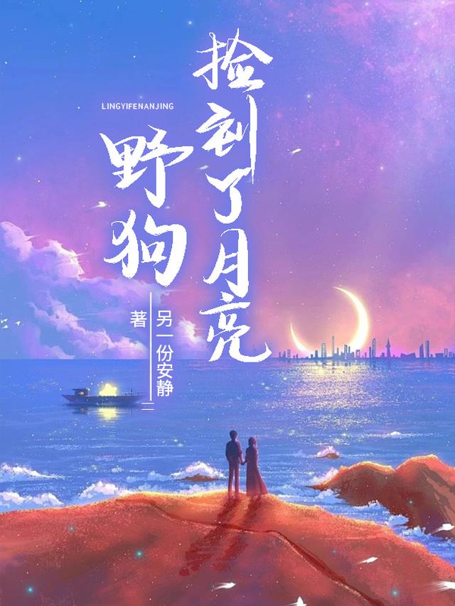 野狗捡到了月亮