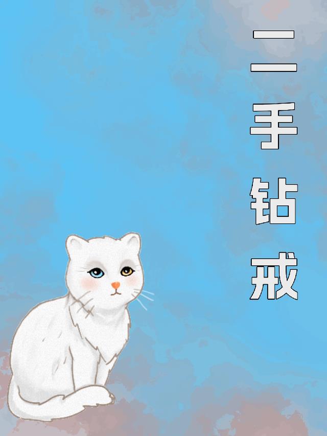二手钻戒