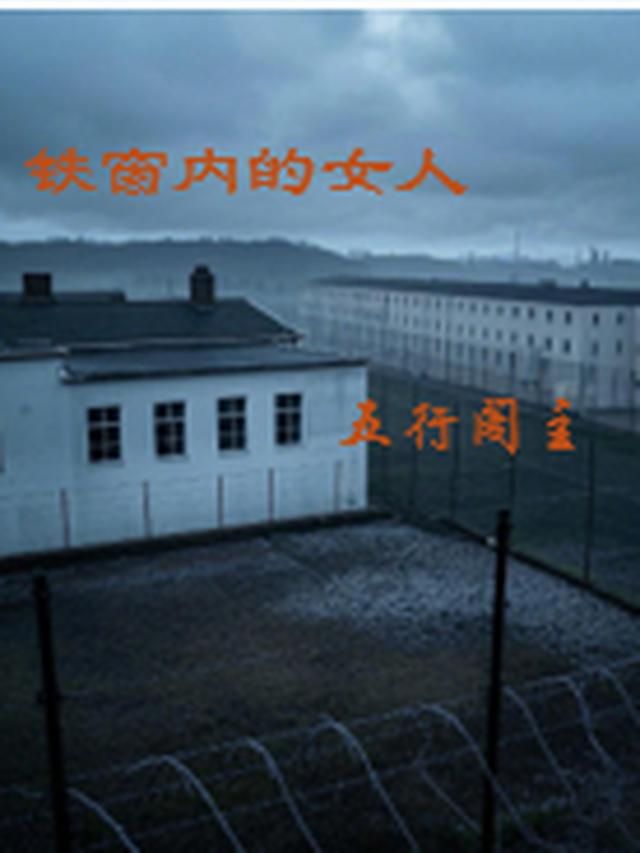 铁窗内的女人