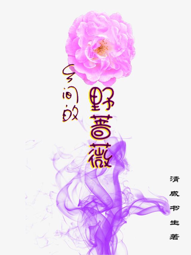 乡间的野蔷薇