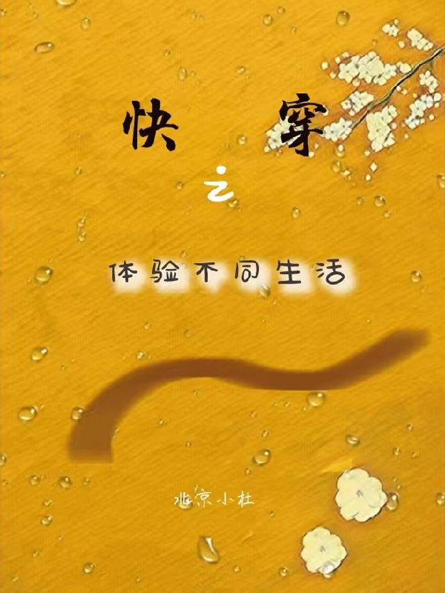 快穿：之体验不同生活