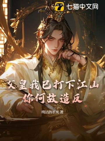 父皇我已打下江山，你何故造反？